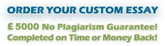 Order your custom plagiarism free English essay